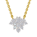 1.03 Carat Frost Bloom Pendant Necklace 14K