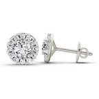 1 Carat Round Halo Stud Earrings 14K - White Gold