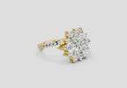 Gleaming Promise Cluster Diamond Engagement Ring