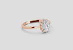 Pristine Oval Halo Diamond Engagement Ring