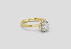 Eternal Round Halo Diamond Ring