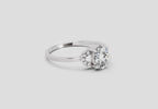 Majestic Promise Halo Diamond Engagement Ring