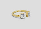 Exquisite Round Two-Stone Diamond Ring